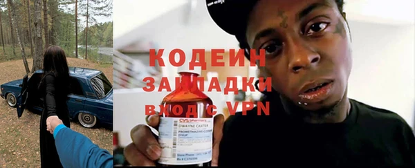 гидра Богородицк