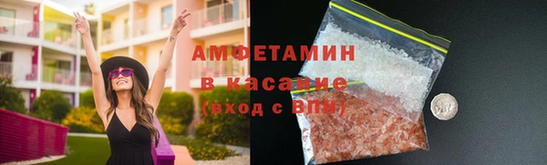гидра Богородицк