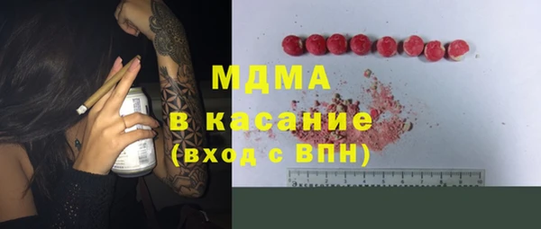 гидра Богородицк
