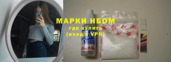гидра Богородицк