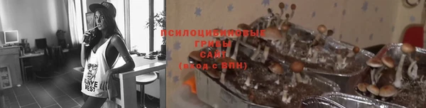 мяу мяу мука Богородск