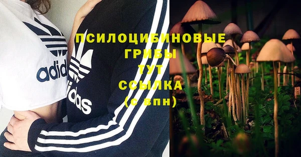 мяу мяу мука Богородск