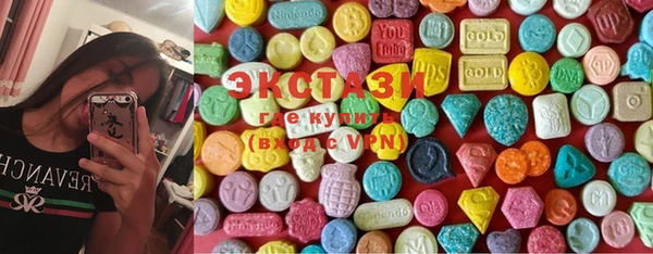 гидра Богородицк