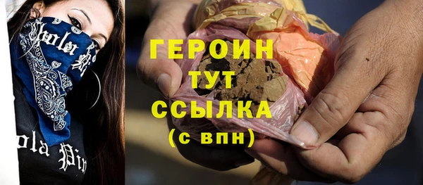 гидра Богородицк