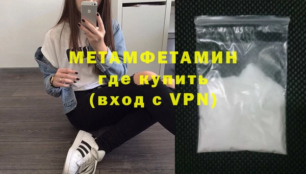 гидра Богородицк