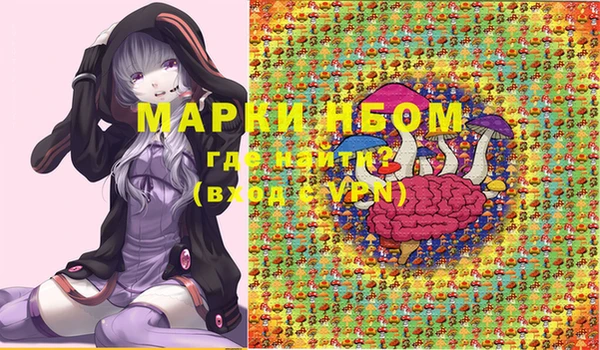 гидра Богородицк