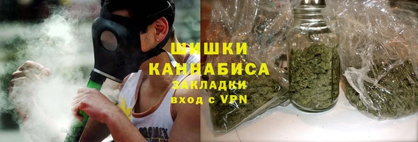 гидра Богородицк